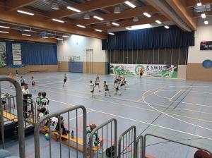 männl. E - Jgd. - Foto 6